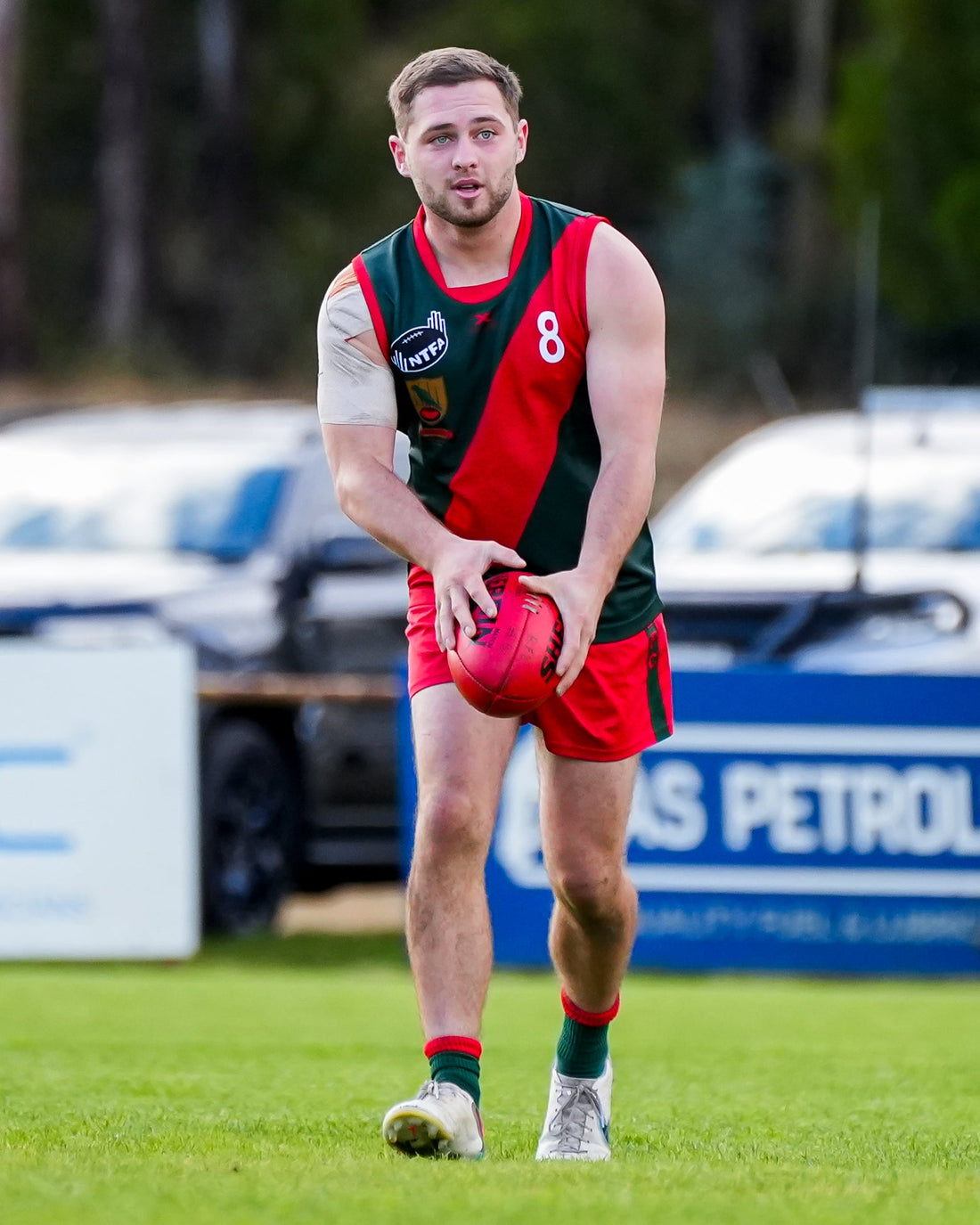 Our Guernsey Auction is Live