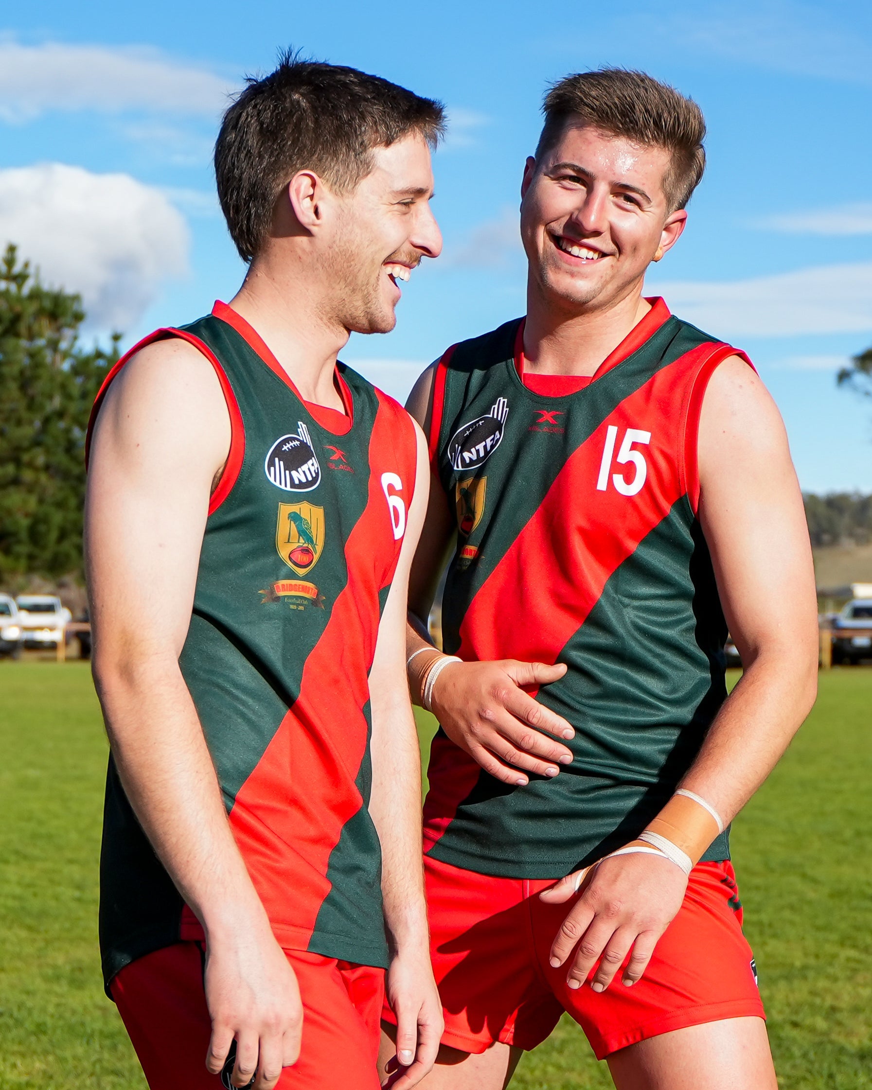 Guernseys