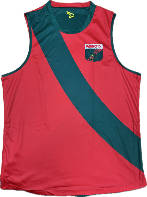 Red and green sports guernsey with a logo on a white background